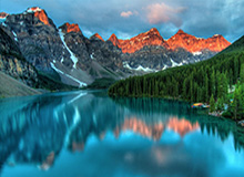 AL局内语音-Tarzan:Nice,呜~(疯狂鼓掌)