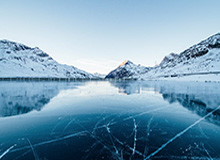 AL局内语音-Tarzan：Nice，呜~（疯狂鼓掌）